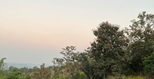 A dusk landscape with trees and distant mountains